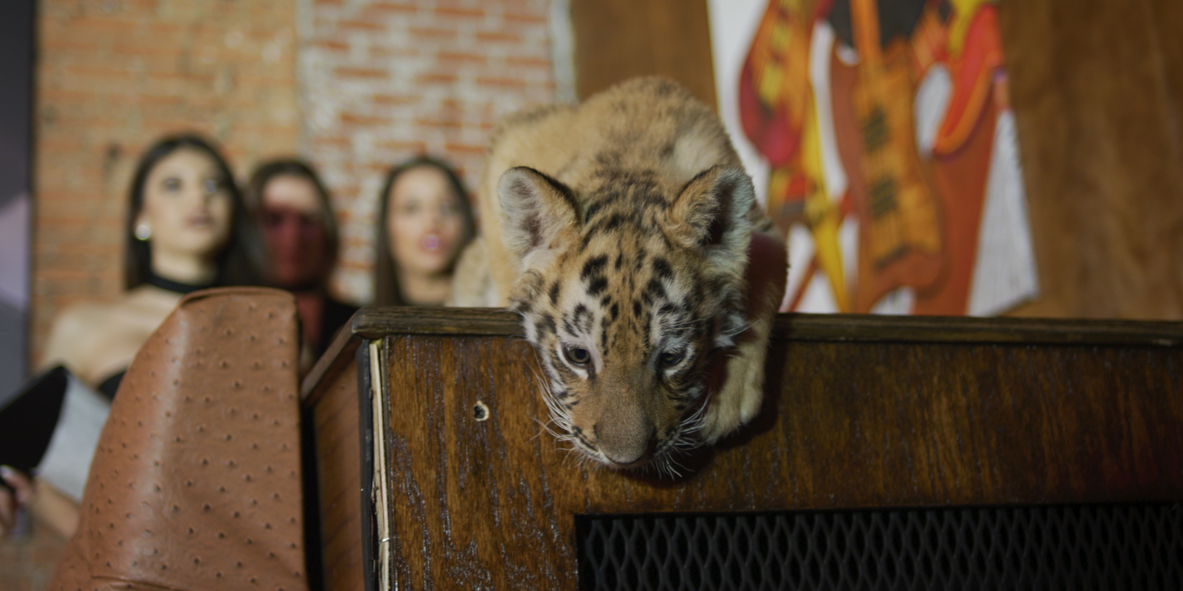 The Wild Story Of Joe Exotic Has Connections To The Dallas Film