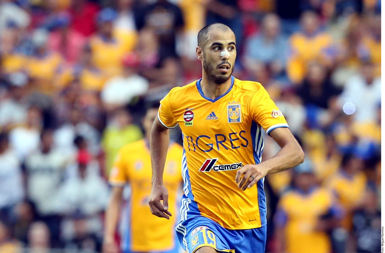 Tigres hace oficial el regreso de Guido Pizarro